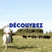 1-CAMARGUE_MIM