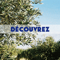 1-PROVENCE-MIM