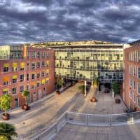 ceei-nice-cote-dazur-pepiniere