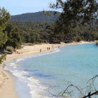 plage-cabasson-bregancon-borme-mimosa