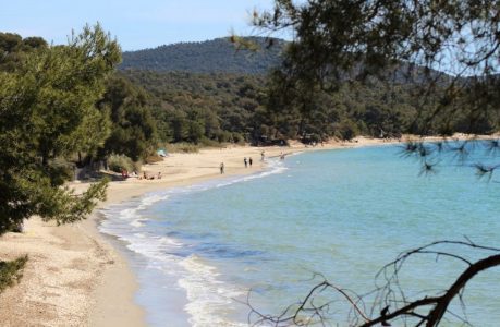 , La liste des plages des Bouches-du-Rh&ocirc;ne r&eacute;ouvertes &agrave; partir de jeudi, Made in Marseille
