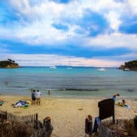 plage-estagnol-borme-mimosas