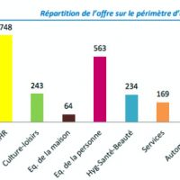 repartition-offre-commerciale-centr-ville