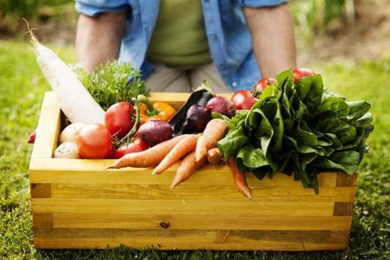 Le tour de France de l&rsquo;agroécologie fait étape dans les quartiers Nord