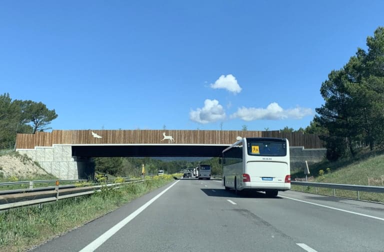 Les écoducs, des ponts végétalisés dédiés au passage des animaux