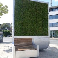 , Rencontre avec Agn&egrave;s Olive : une nouvelle vie au service de la plan&egrave;te, Made in Marseille