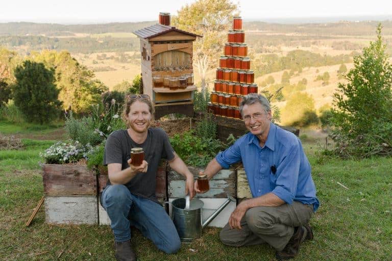 Flow Hive – Les ruches intelligentes pour récolter le miel sans gêner les abeilles
