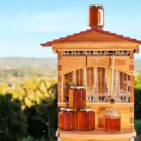 flow-hive-ruche-protection-abeille