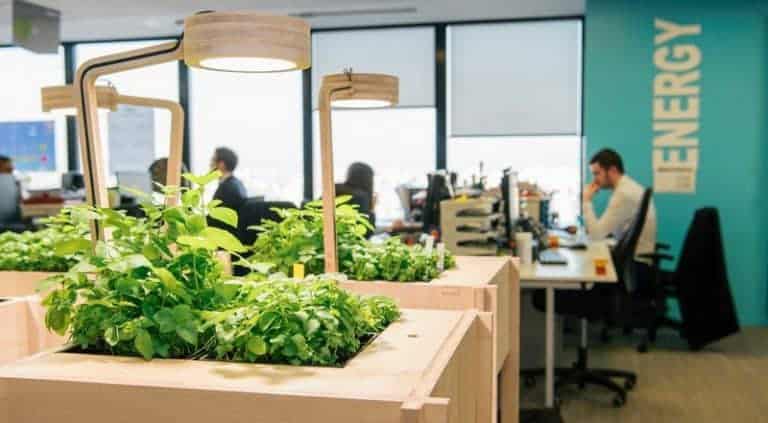 Améliorer le bien être en entreprise ou au travail grâce à des potagers ?