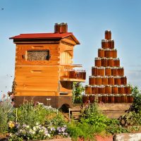 ruche-intelligente-protection-abeille-miel