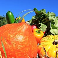 , Un village de cr&eacute;ateurs 100% fran&ccedil;ais va ouvrir dans le Var&nbsp;, Made in Marseille