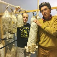 , Des m&eacute;c&egrave;nes se mobilisent pour d&eacute;velopper l&rsquo;agriculture urbaine et durable &agrave; Marseille, Made in Marseille
