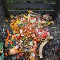 compost-zero-dechet-vert
