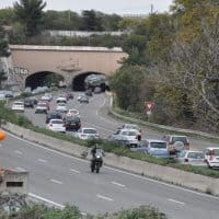crapaud-marseillais-autourte-a7