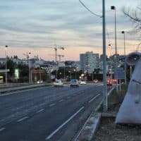 crapaud-marseillais-voie-rapide-malpasse