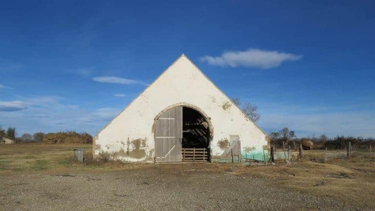 La bergerie la Favouillane, dernier témoin du patrimoine camarguais, bientôt sauvée ?