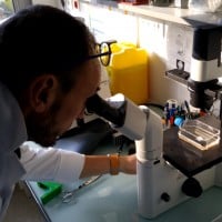 , Les chercheurs d’Aix-Marseille parmi les meilleurs du monde, Made in Marseille
