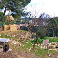 bricabracs cabane potager