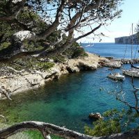 , Le plus grand r&eacute;cif artificiel d&rsquo;Europe, au Prado, repeuple la M&eacute;diterran&eacute;e, Made in Marseille