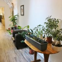 logement-bureau-coworking-startup