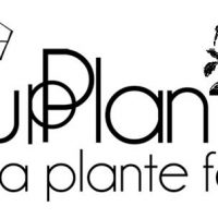 logocupplante