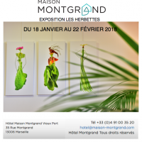 visuel-expo-montgrand