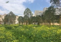, Le r&eacute;am&eacute;nagement de la Porte d&rsquo;Aix en quartier &eacute;tudiant &eacute;lu meilleure transformation urbaine, Made in Marseille