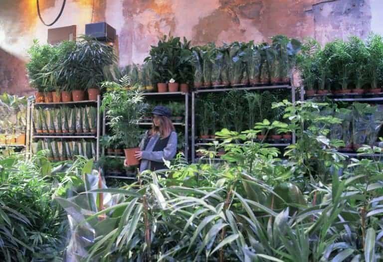 Rendez-vous début février à la première grande vente de plantes à 2€ de l&rsquo;année