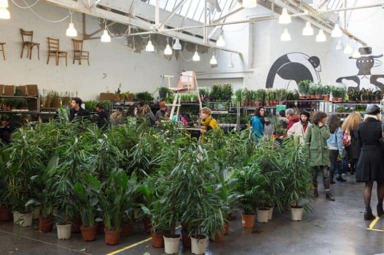 Plantes pour tous se réinstalle rue de la République pour la rentrée