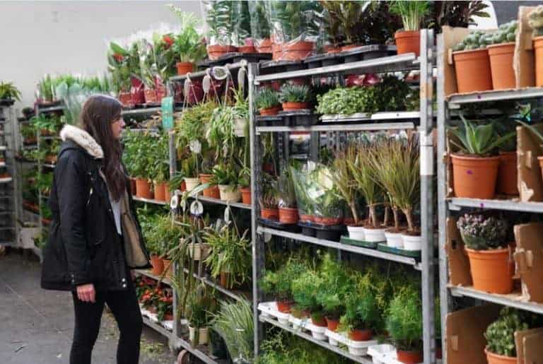 Une nouvelle vente de plantes à petits prix dans le centre-ville de Marseille