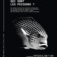 alarm_poissons