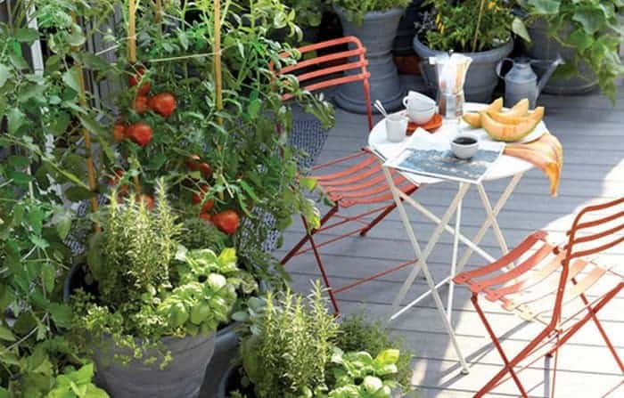 Top 10 des idées pour réussir son potager en ville !