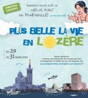 lozere-foire-vieux-port