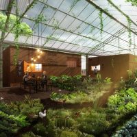 cite-agriculture-urbaine-centre-ville