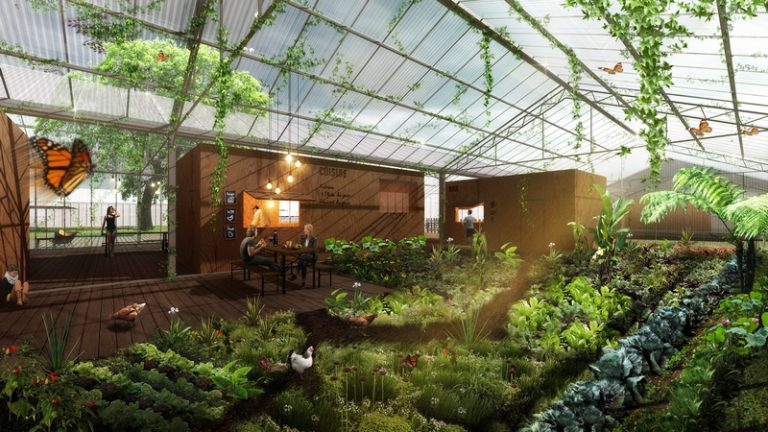 Une Cité dédiée à l&rsquo;agriculture urbaine va ouvrir ses portes à Marseille