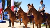 garde-republicaine-cheval