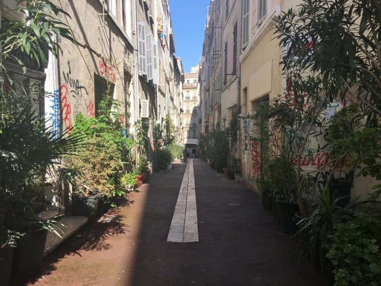 A Marseille, le collectif Jardin de Noailles milite pour un quartier plus vert