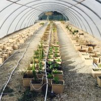, Deux jours pour cultiver les &eacute;changes sur l&rsquo;agriculture urbaine de demain, Made in Marseille