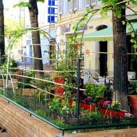 , &Agrave; Marseille : habitants, assos et &eacute;lus se lancent dans la v&eacute;g&eacute;talisation du centre-ville, Made in Marseille