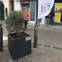 , &Agrave; Marseille : habitants, assos et &eacute;lus se lancent dans la v&eacute;g&eacute;talisation du centre-ville, Made in Marseille