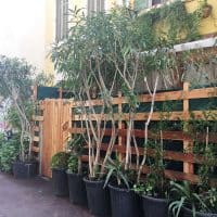 vegetalisation-nature-centre-ville-noailles