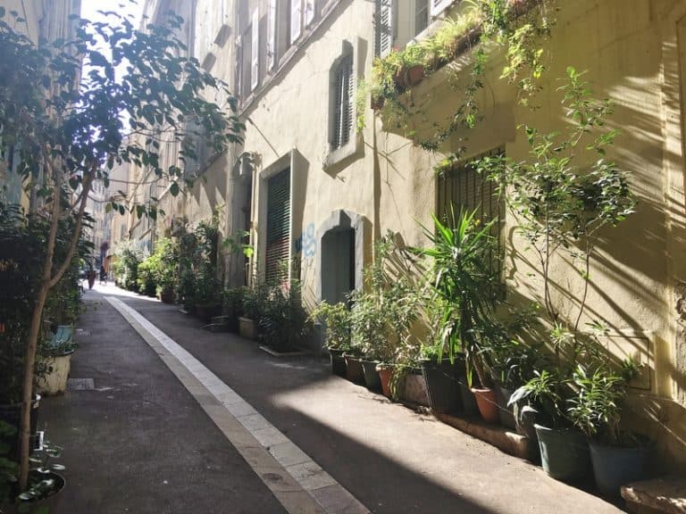 À Marseille : habitants, assos et élus se lancent dans la végétalisation du centre-ville
