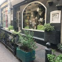 vegetalisation-rue-aubagne-noaille