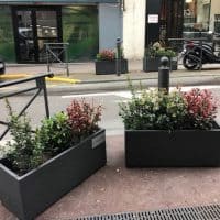 , &Agrave; Marseille : habitants, assos et &eacute;lus se lancent dans la v&eacute;g&eacute;talisation du centre-ville, Made in Marseille