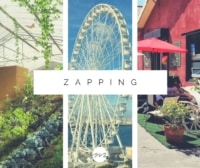zapping-actu-info-avril