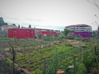 , Au Nord de Marseille, ouvrez les portes du jardin partag&eacute; du parc Ath&eacute;na, Made in Marseille