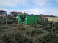 , Au Nord de Marseille, ouvrez les portes du jardin partag&eacute; du parc Ath&eacute;na, Made in Marseille