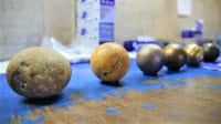 evolution-boule-petanque