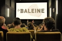 cinéma-la-baleine-salle-film