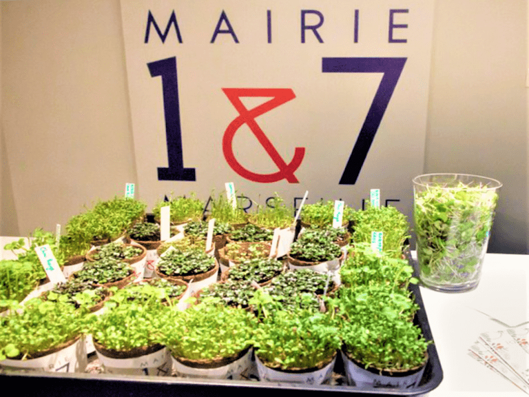 Mois de l&rsquo;écologie positive – la mairie des 1er et 7e se met au vert